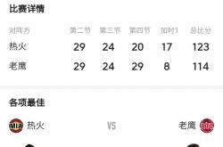 热火客场告负，后场防守失准让对手获得胜利契机的简单介绍