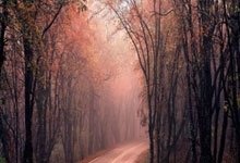 爱游戏网页版-中超联赛开启新赛季，球迷热情期待豪门对决，中超联赛2021-2022