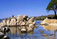 爱游戏在线登录-关于超级替补斩获关键进球，穿越危机的信息