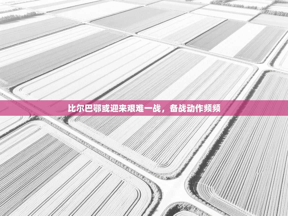 比尔巴鄂或迎来艰难一战,备战动作频频 第2张